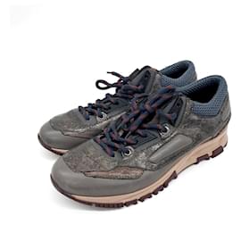 Lanvin Sneakers Multicolore
