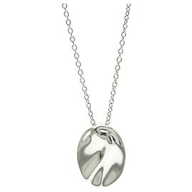 Tiffany & Co Collar Péndulo Zodiac Acuario Tiffany Plata
