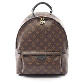 Louis Vuitton Palm Springs Rucksack MM Braun