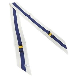 Sciarpa Salvatore Ferragamo Blu
