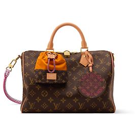 Louis Vuitton Speedy Soft 30 Brown Cloth Handbag Brown