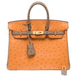 Hermès HERMES Birkin 25 Exotic Leather Bag Brown - 103410 Brown