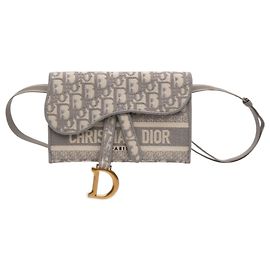 Dior Gray Oblique Canvas Embroidered Saddle Belt Bag Brown Grey