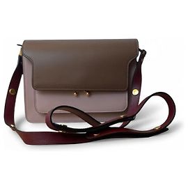 Marni Trunk Castaño Rosa Dorado