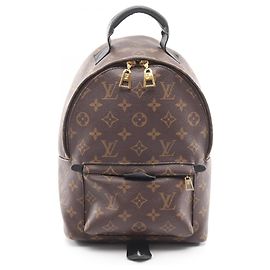 Louis Vuitton Palm Springs PM Backpack/Handbag Brown Black