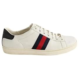 Gucci Baskets blanches Blanc