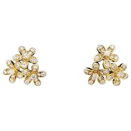 Brincos Van Cleef & Arpels, "Sócrates", ouro amarelo, diamantes. Outro
