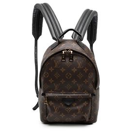 Louis Vuitton Brown Monogram Palm Springs PM Brown