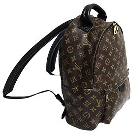 Louis Vuitton Brown Monogram Palm Springs Mm Backpack Brown