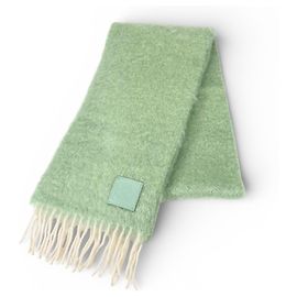 Sciarpa in Mohair e Lana Loewe Verde