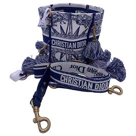 Dior Piccola Borsa a Secchiello Ricamata con Frange a Stella Blu Blu
