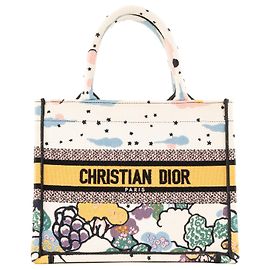 DIOR - Borsa Tote Piccola Dior in Tela Multicolore Multicolore