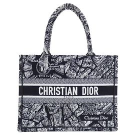 Sac à main medium PLAN DE PARIS de Christian Dior Noir