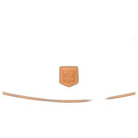 Céline Pochette Celine Triomphe Noire Noir