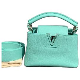 Louis Vuitton Capucines Mini Vert Menthe Cuir Vert