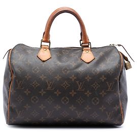 Louis Vuitton Monogram Speedy 30 Braun