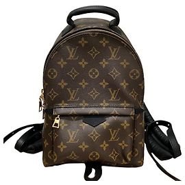 Louis Vuitton Palm Springs Backpack PM M44871 Brown Black