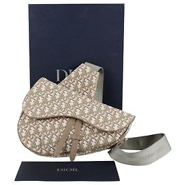 Dior Borsa a tracolla Saddle Shoulder Multicolore