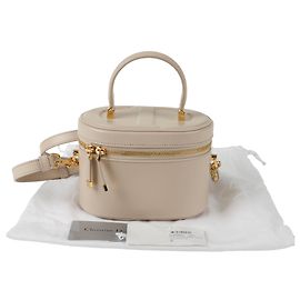 Dior Piccola borsa tote a spalla Cd Signature Vanity Marrone