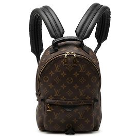 Louis Vuitton Brown Monogram Palm Springs PM Brown