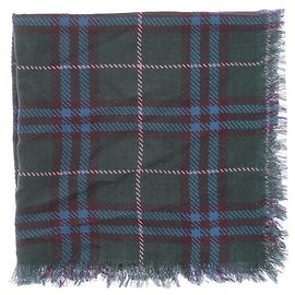 Eric Bompard Mini pañuelo de twill con estampado de cachemira Verde