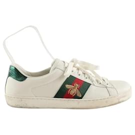 Gucci Baskets basses blanches Blanc