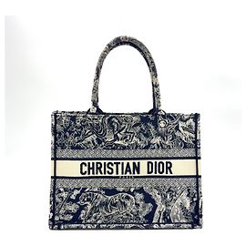 Dior Canvas Book Tote Bag Blue