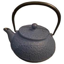 Autre Marque Iwachu Blue Cast Iron Teapot with Floral Pattern Blue