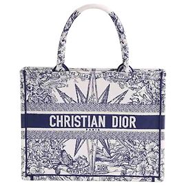 Dior Blauer Cabas Blau