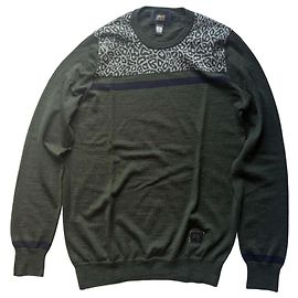 Roberto Cavalli Grüner Wollpullover mit Leopardenmuster Grün Leopardenprint