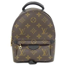 Louis Vuitton Monogram Palm Springs Backpack MINI Brown