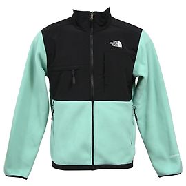The North Face Denali Fleece Jacket in Turquoise Fleece Other