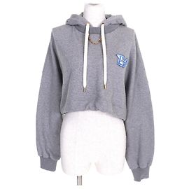 Louis Vuitton LV Flight Mode Cropped Hoodie Grau