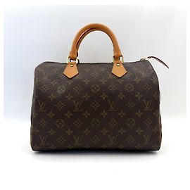 Louis Vuitton Speedy Handbag Monogram Canvas 40 Brown