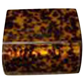 Mini bolsa Pandora da Givenchy em plexiglass com estampa animal Outro Impressão em python
