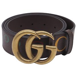 Cinto Gucci GG Marmont em couro marrom com estampa de logotipo Marrom