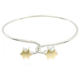 Bracciale rigido in argento 925 e oro giallo Tiffany & Co. Altro