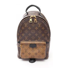 Louis Vuitton Palm Springs Backpack PM Brown Beige