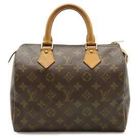 Louis Vuitton Monogram Handbag Brown