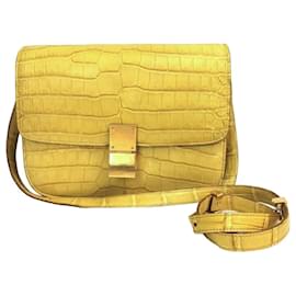 Céline Celine Classic Medium Cocodrilo Amarillo Amarillo
