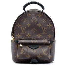 Louis Vuitton Marrom Monogram Mini Palm Springs Marrom