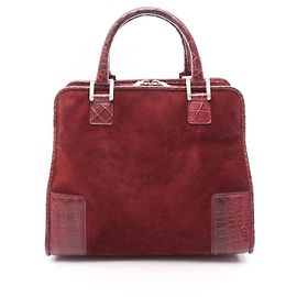 Loewe Amazona Leather Handbag Brown