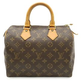 Louis Vuitton Monogram Handbag Brown