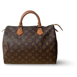 Louis Vuitton Speedy 30 Altro
