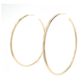 Orecchini a cerchio Tiffany & Co. 750PG Altro