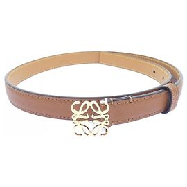 Loewe Standard Brown Belt Brown