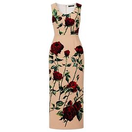 Dolce & Gabbana Midi-Kleid mit Rosenprint Rot Beige