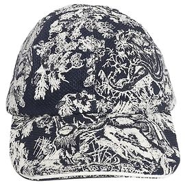 Dior Navy embroidered cap Navy blue
