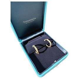 Pendientes Tiffany & Co. Ti Fine Bamboo Circular Joint Oro Amarillo Dorado