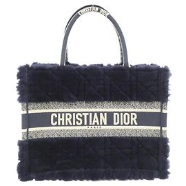 Christian Dior Book Tote Medium Blu Multicolore